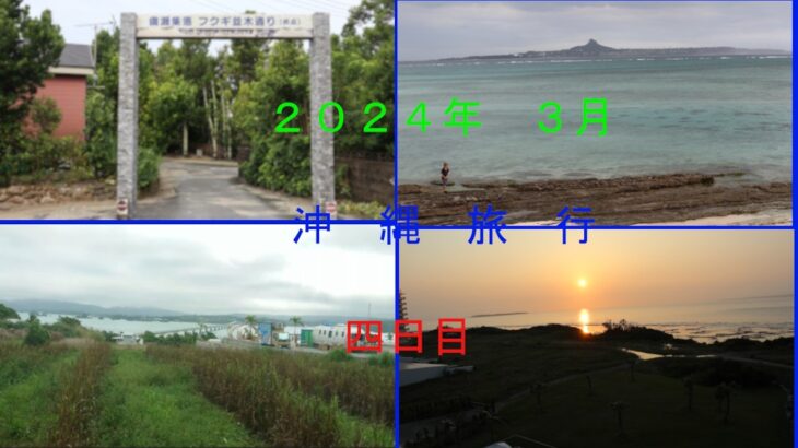 沖縄旅行 ４日目の様子を皆様へお届けいたします。福木並木道および古利島を堪能しました。ご視聴頂けたら幸いです。