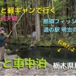 【シニアの幸せ旅】渓流釣りで何が釣れたか！わんこと一緒の旅