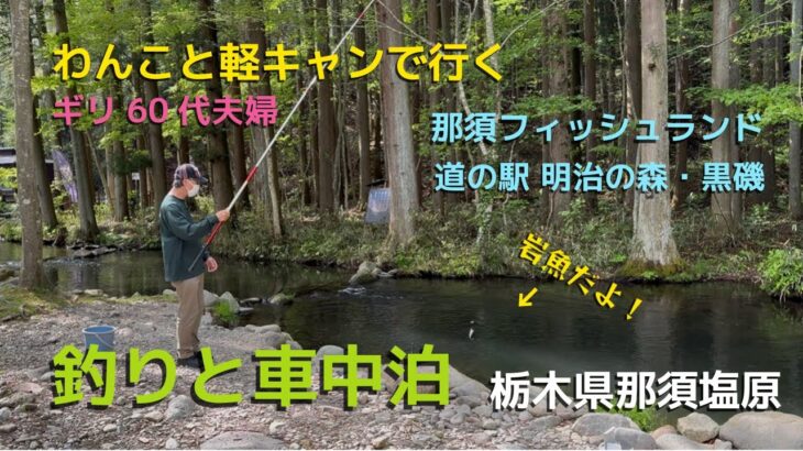 【シニアの幸せ旅】渓流釣りで何が釣れたか！わんこと一緒の旅