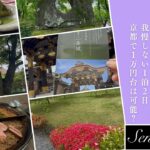 シニア京都旅【我慢しないで１万円代❗️】初めてのゲストハウス１泊２日＠世界遺産二条城＠モネ睡蓮＠スペイン食堂
