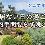 【yuuの家事ライフ】シニア年金生活、夫の居ない日の過ごし方、節約手間いらず晩ごはん