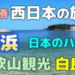 2026春の西日本の旅④5日目  早朝の #千畳敷  快晴の #白良浜 #円月島  #白浜観光