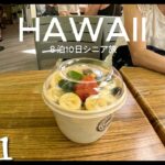 2026年5月シニア節約旅 Vol.01 空港バス乗り方・アイランビンテージコーヒー・コアオアシス・ヒルトンハワイアンビレッジ・海亀等