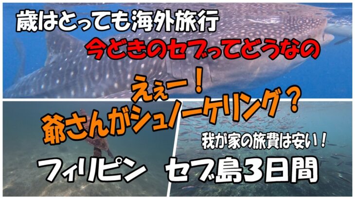 歳はとっても海外旅行セブ島3日間　爺さんがシュノーケリング？