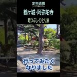 【定年退職ひとり旅➑】456「暇つぶしひとり旅」シニアひとり旅★夢追いプラン(87)-2★夢追いジジイ
