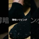 我慢をやめた日から。年金暮らしの父が見つけた光。 #シニアライフ #名言 #60歳代