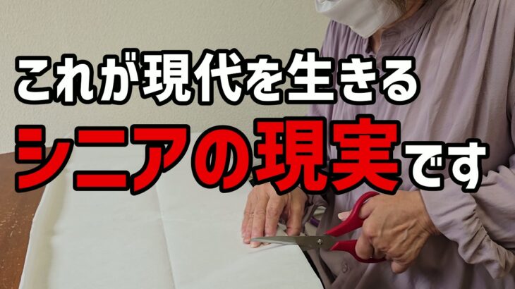 【60代一人暮らし】これが現代を生きる　シニアの現実です【シニアVlog】