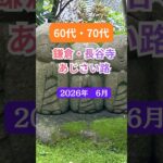 60代.70代　鎌倉、長谷寺　あじさい路 #長谷寺  #旅行 #シニア