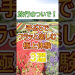 【60代お勧め！】60代が旅行のついでに楽しめる体験観光地# #60代女性 #シニア旅行#ひとり旅 #shorts #gw #松本城  #60代旅行 #60代ライフ#シニアライフ60代 #ショート