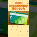 【63歳のリアル】ついに年金の初振込日！通知書との答え合わせと、老後の「資産使い切りの目標」。 #年金 #60代 #セカンドライフ #シニアの日常