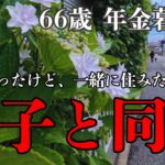 「息子と一緒に住みたくない..」66歳 年金暮らし夫婦がこっそり語った息子に言えない本当の同居したくない理由とは？
