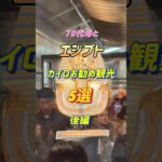 70代母とエジプト旅🇪🇬ここは絶対行って！大エジプト博物館、ムハンマドアリモスク、ハンハリーリ市場。エジプト旅行最高だった！#shorts #エジプト