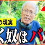 【年金いくら？】80歳『労働、貯金する人はバカだ   老後の年金生活』年金インタビュー