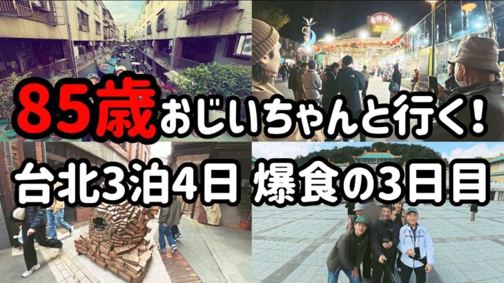 【台湾旅行】85歳のおじいちゃんと巡る台北3泊4日！聖地巡礼から士林夜市まで爆食の3日目！