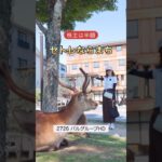 【パルG株主優待】ホテル半額！#株主優待 #日本株 #nisa #shorts
