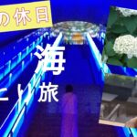 大人の休日熱海ひとり旅｜大人の癒し旅｜癒し｜グルメ｜自然｜スイーツ｜シニア旅｜熱海ひとり旅｜美術館日帰りで癒される大人の休日｜MOA美術館・ニューアカオ・ACAO FOREST・サフィール踊り子