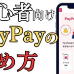 最新版PayPayの始め方旅行で支払いをスマートに