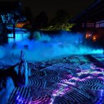 小さなひとり旅・東福寺の夜と青紅葉の光｜ZEN NIGHT 東福寺  The Light of Blue Maple Leaves at Tofuku-ji