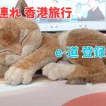 【シニア２人連れ】香港家族旅行。e道も登録してみた。