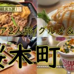 神奈川グルメ・シニア二人旅【横浜・桜木町でグルメと観光を楽しむ】今回は横浜の桜木町近辺でグルメやちょっとの観光を楽しんだ動画となります。ご視聴よろしくお願いいたします。