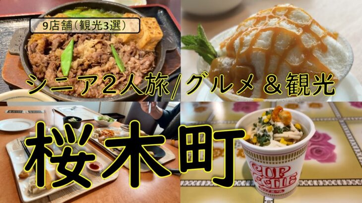 神奈川グルメ・シニア二人旅【横浜・桜木町でグルメと観光を楽しむ】今回は横浜の桜木町近辺でグルメやちょっとの観光を楽しんだ動画となります。ご視聴よろしくお願いいたします。