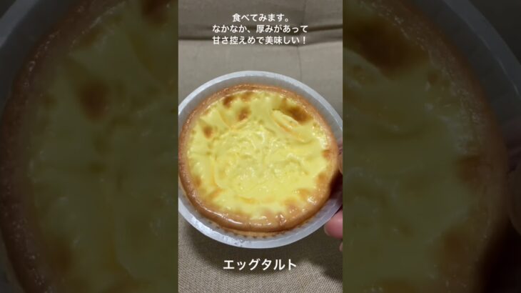 シニア台湾旅行