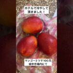 シニア台湾旅行