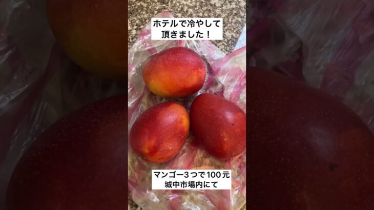 シニア台湾旅行