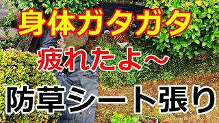 【シニアライフ】のらりくらり年金生活　身体ガタガタ！疲れたよ～庭の防草シートを張り【のらりくらり年金生活チャンネル】