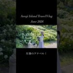 保護犬とシニア犬で初めての淡路島旅行🏝️