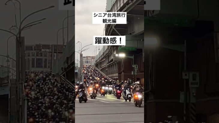 シニア台湾旅行