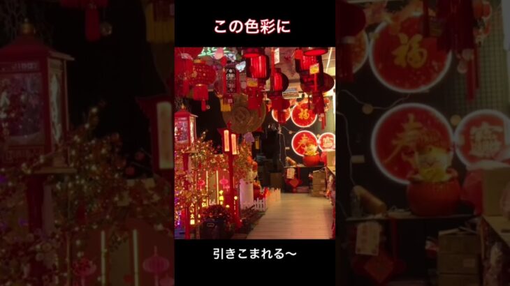 シニア台湾旅行