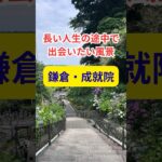 鎌倉・成就院　#旅行好き #シニア #鎌倉