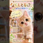 【激可愛い】😸めろんとシニアの暮らし、「なにしとるん？」🥺 #シニアライフ #猫 #癒し動画