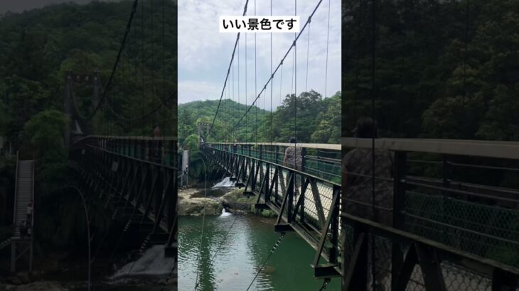 シニア台湾旅行