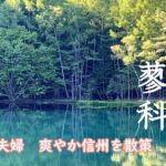 シニア夫婦の信州散策紀行。蓼科／ビーナスラインは最高の季節です