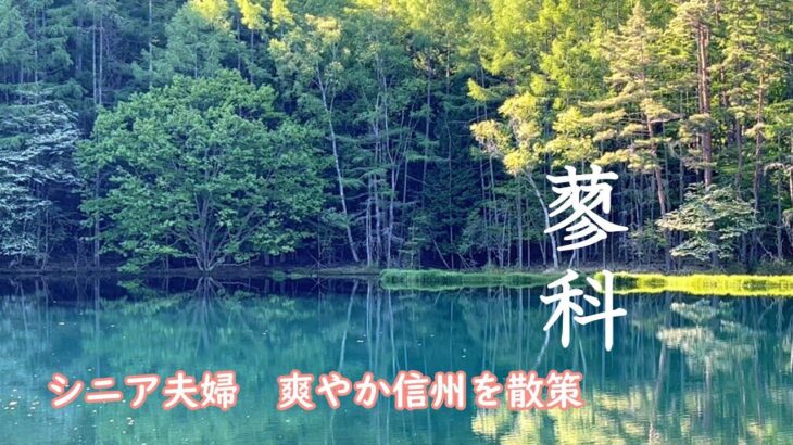 シニア夫婦の信州散策紀行。蓼科／ビーナスラインは最高の季節です