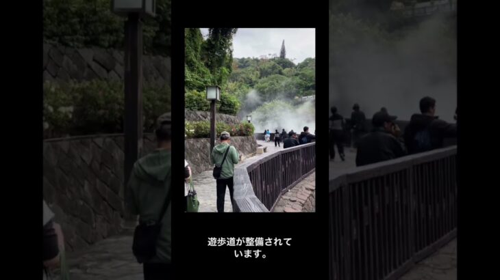 シニア台湾旅行