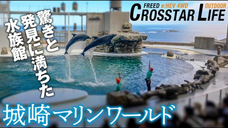 【シニア夫婦の山陰・丹後クルマ旅❶】オドロキの水族館「城崎マリンワールド」