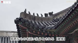【初ソウル！定番観光&グルメ】全力でご案内！