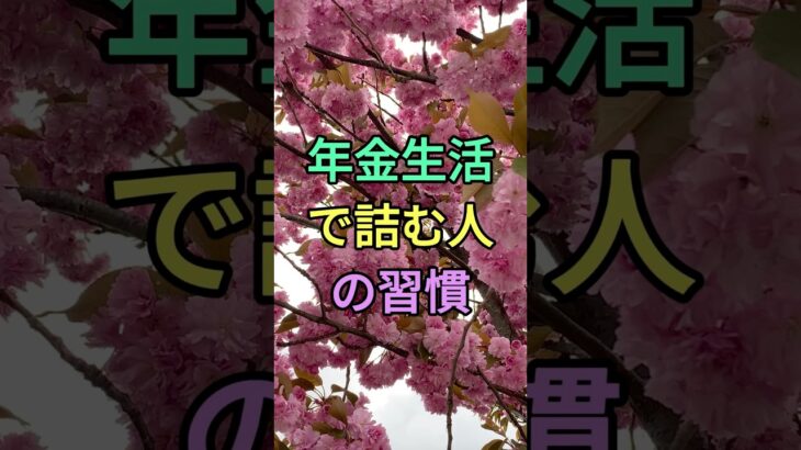 年金生活で詰む人の習慣 #知恵 #名言 #雑学 #シニア