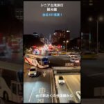 シニア台湾旅行