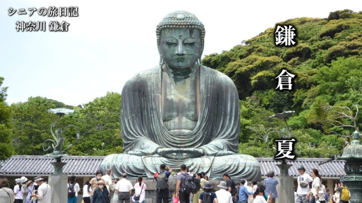 鎌倉　夏　思い出写真館　シニアの旅日記