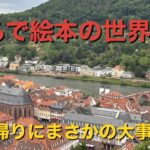 【ドイツ旅行】まるで絵本の世界だったハイデルベルク / 帰りはまさかの電車トラブル