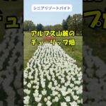 シニアのリゾートバイト、リタイア後の旅バイト情報#リゾートバイト #シニアのリゾートバイト #旅をしながら稼ぐ
