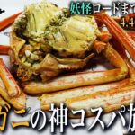 【境港ひとり旅】境魚港の海鮮に酔いしれる旅｜崖っぷちシニアのひとり旅vol.74｜鳥取県・境港市