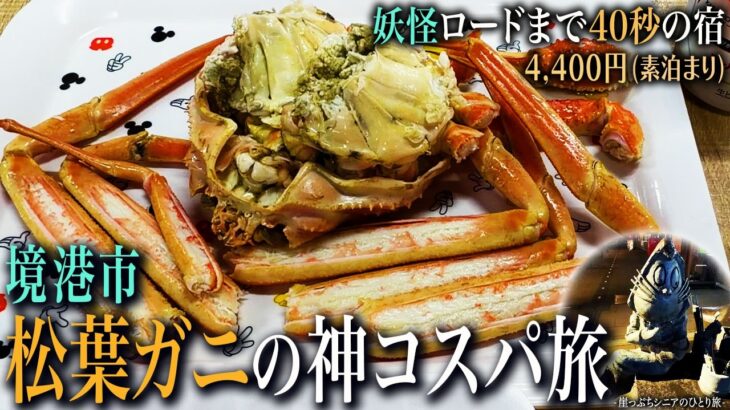 【境港ひとり旅】境魚港の海鮮に酔いしれる旅｜崖っぷちシニアのひとり旅vol.74｜鳥取県・境港市