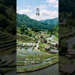 移ろい二十四節気「芒種」 #シニア #youtubeshorts #スローライフ#japanesnature #自然 #開運 #旅行