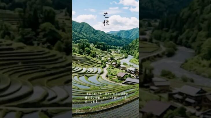 移ろい二十四節気「芒種」 #シニア #youtubeshorts #スローライフ#japanesnature #自然 #開運 #旅行