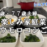 【yuuの家事ライフ】シニア年金生活、８０歳７７歳夫婦、夏の楽しみ家庭菜園とトウモロコシご飯、